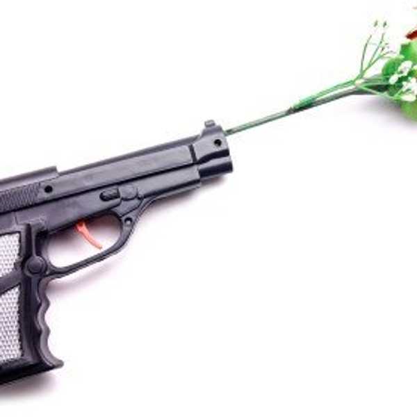 A Short Rant On Guns