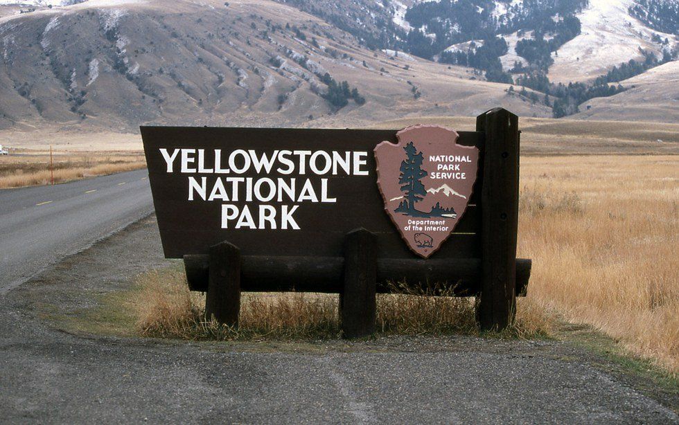 Unplanned Destinations: Yellowstone National Park
