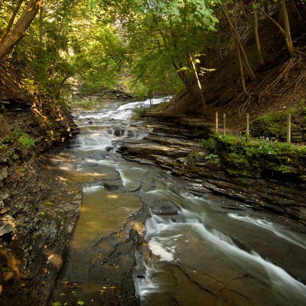 32 Things To Do in Ithaca This Summer