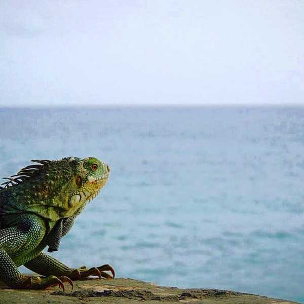 I Fell In Love With Photography And So Can You
