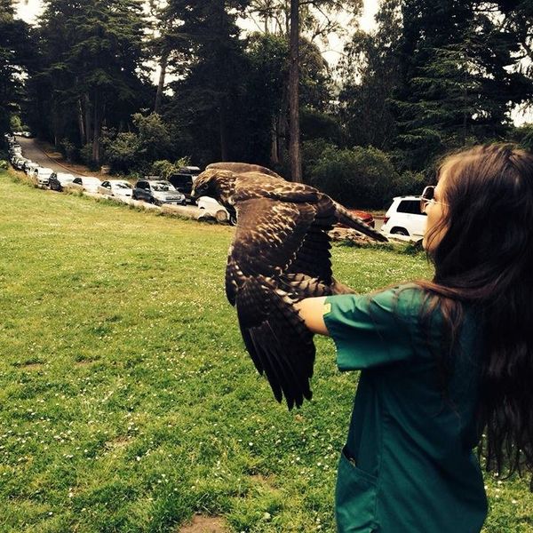 Not Your Average Pre-Vet Major