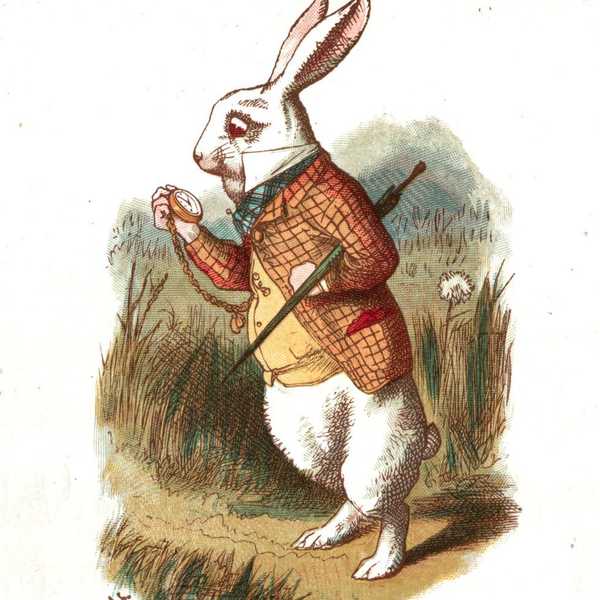 I Was The White Rabbit