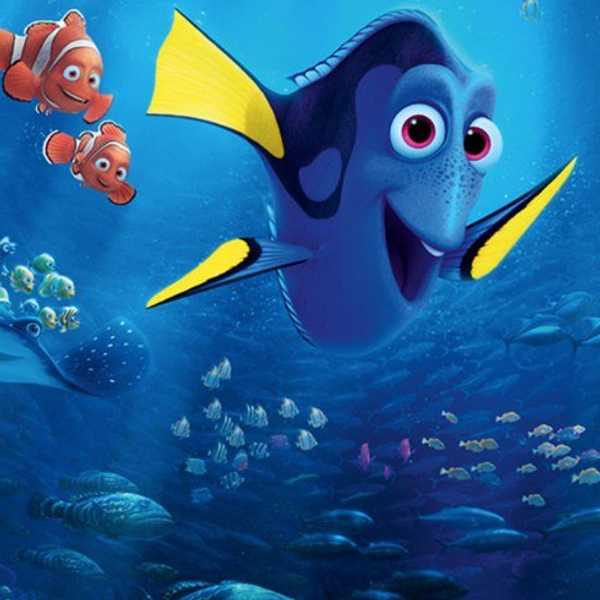 4 Reasons Everyone Will Love 'Finding Dory'