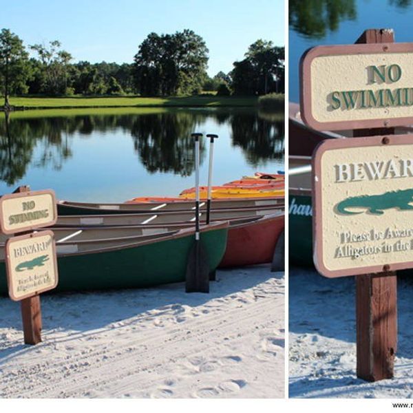 Irresponsible Parents Are Causing Preventable Tragedies