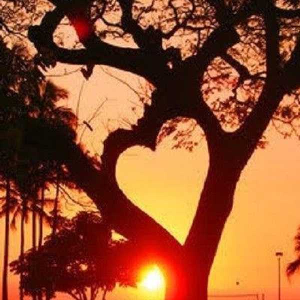 Why World Peace Does Not Exist