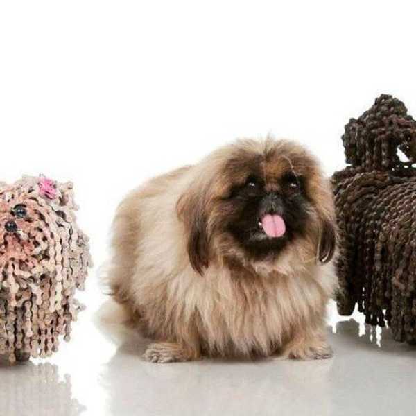 The Secret Society Of Dog Lovers