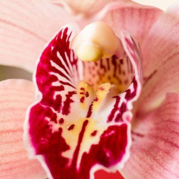 19 Empowering Feminist Quotes