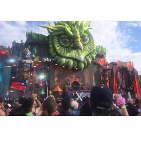 Five Reasons Why You Should Go To A Music Festival