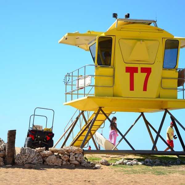 Rad Songs For The Summer