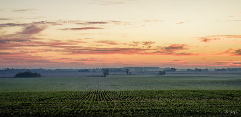 New Englanders In The Midwest