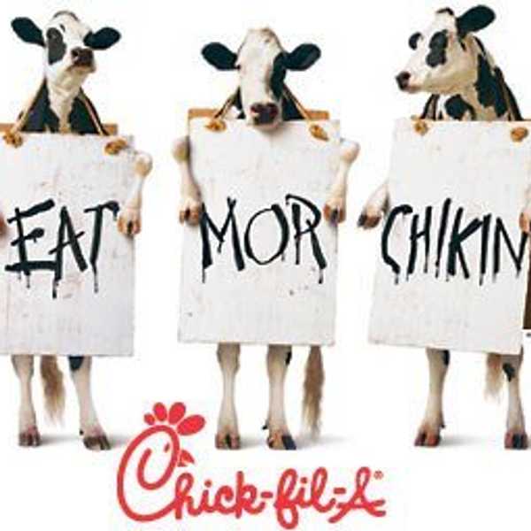 A Chick-fil-A Affair: When the Cows Come Home