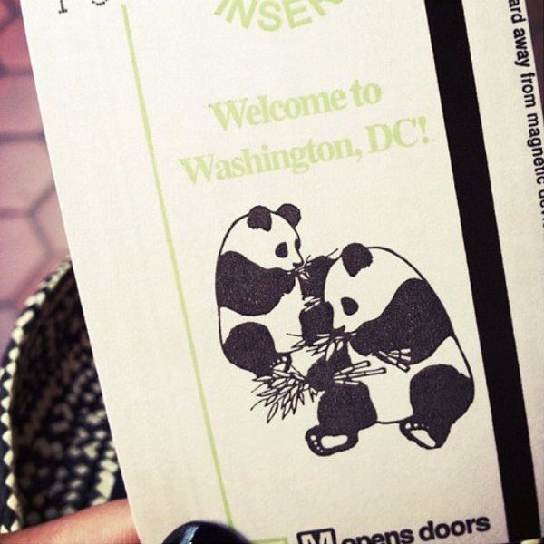 Typical Places To Go When Your Family Visits DC