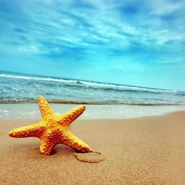 The ABCs of a Beach Trip