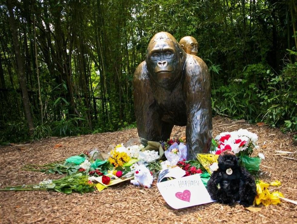 Remember When People Pretended To Care About Harambe's Death?