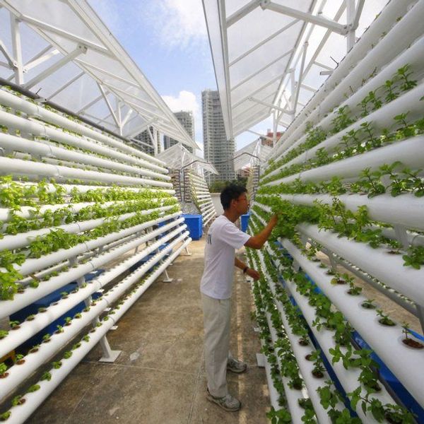 Grant Proposal For The Tower Of Power