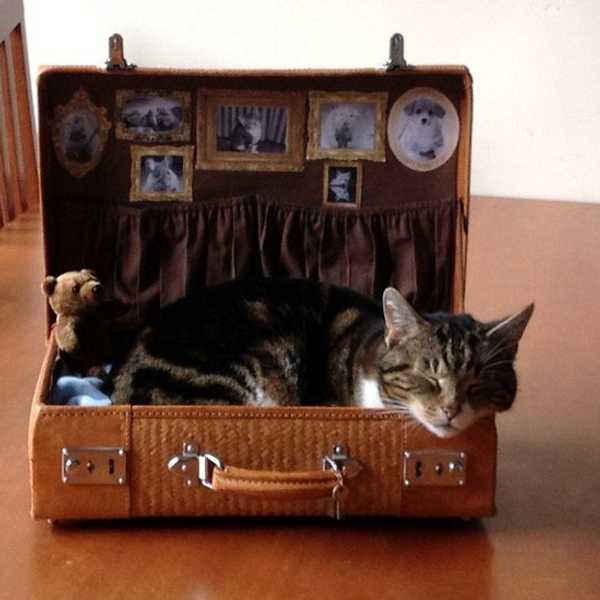 You Cannot Travel Without This Ultimate Packing Guide