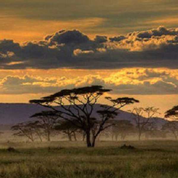 Are We Conserving Endangered Species, Or Just Keeping Them Alive?