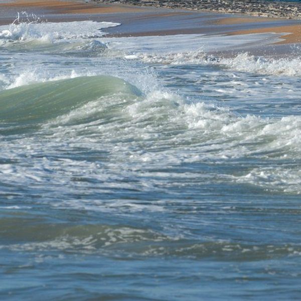 Ocean Acidification And Why It's Scary