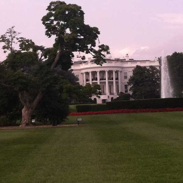 Clinton's Historic Nomination Is Not Just For Women