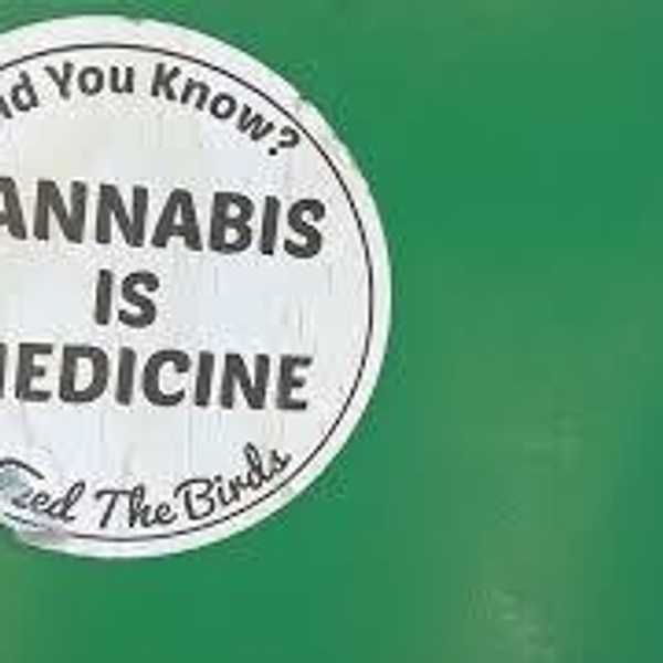 Marijuana: The Plant That Keeps On Giving