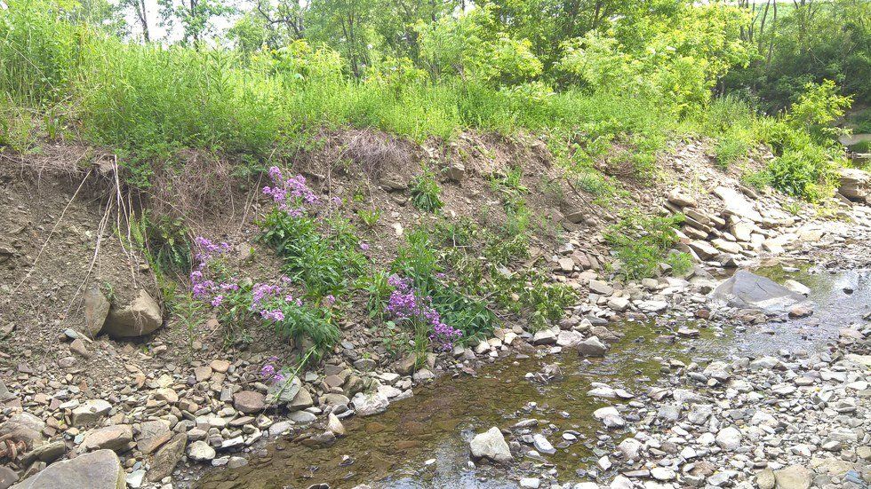 Is Teaching Of Manners Contributing To Bullying?