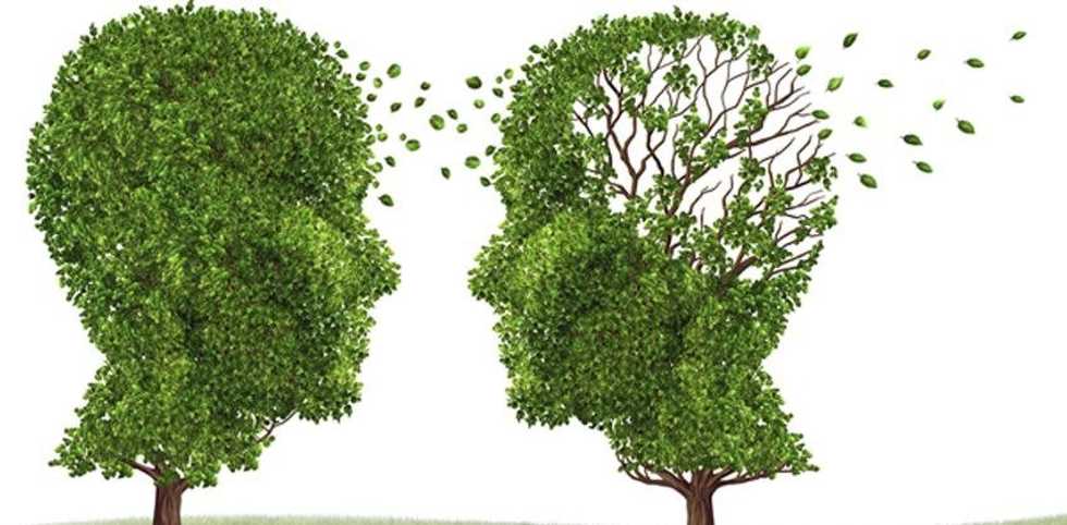 A Letter To Alzheimer's