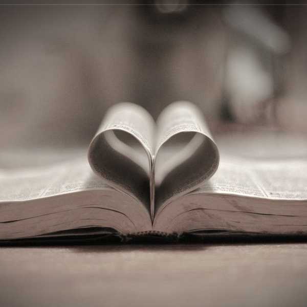 His Love Is All You Need