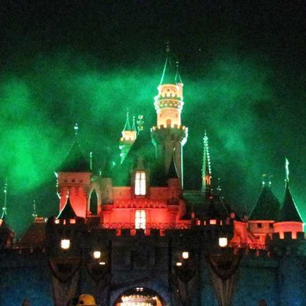 What The Disney College Program Didn't Tell Me