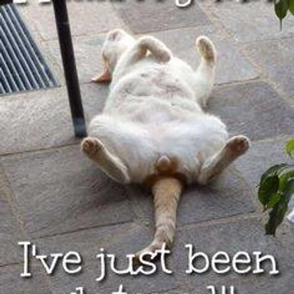 The Real Struggle Of Being Gluten Free