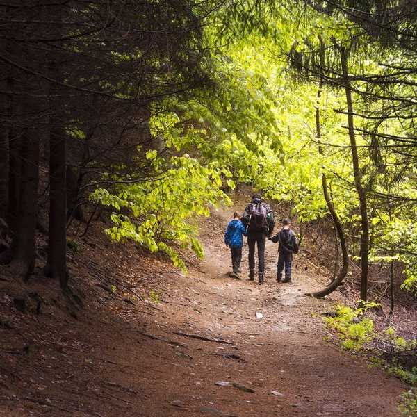 14 Things To Do In Dalton For Father's Day Weekend