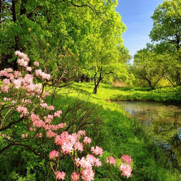 Top 10 Unbelievable Facts About Plants