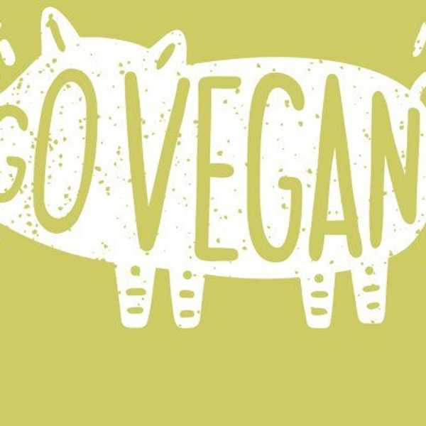I Went Vegan For 14 Days And Here's What Happened