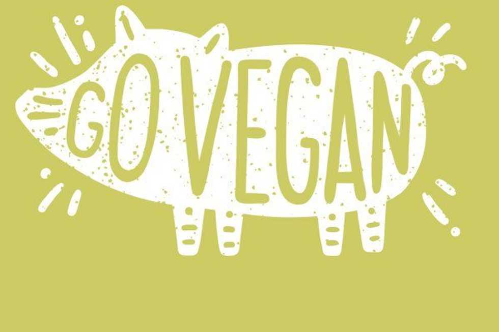 I Went Vegan For 14 Days And Here's What Happened