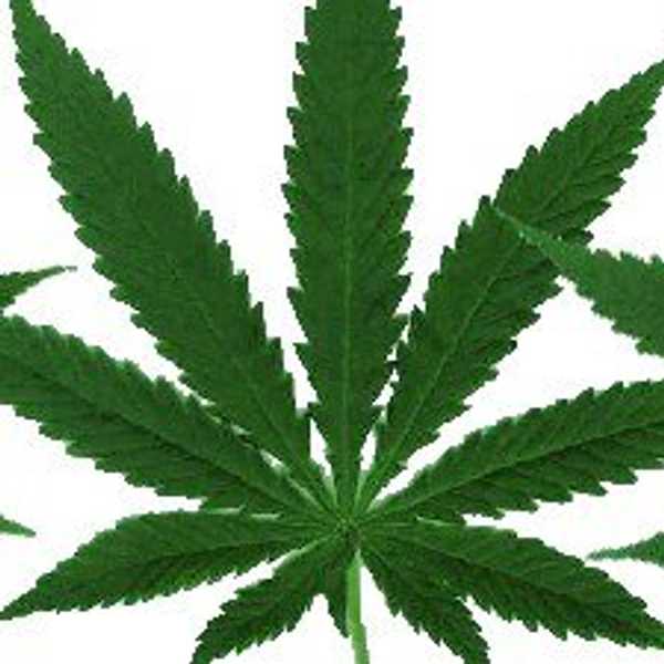 5 Reasons To Legalize Marijuana