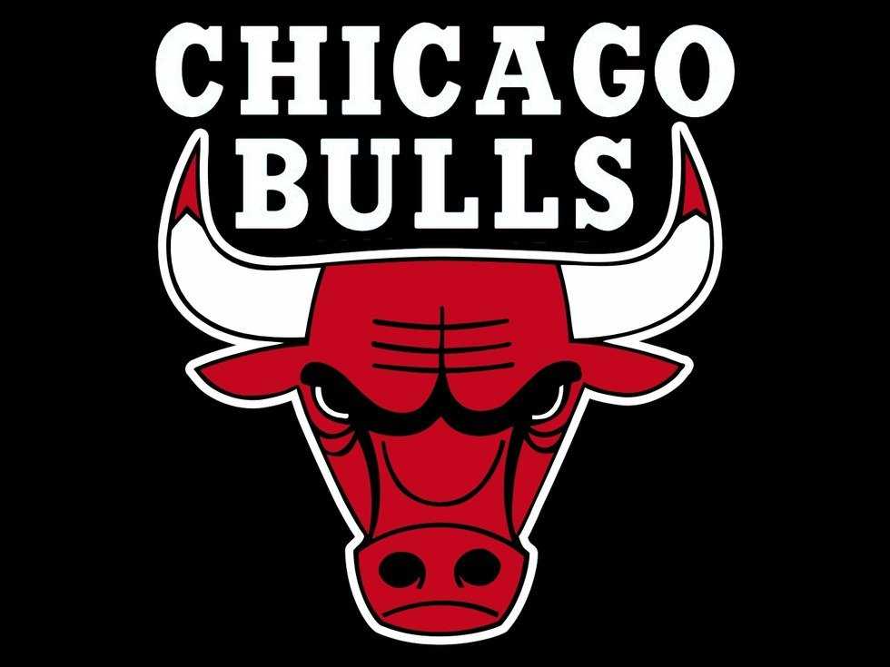 Chicago Bulls: Potential Or Problems?