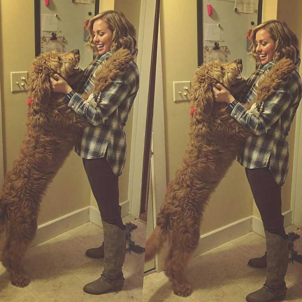 Man's Best Friend or Best Friend for Man?