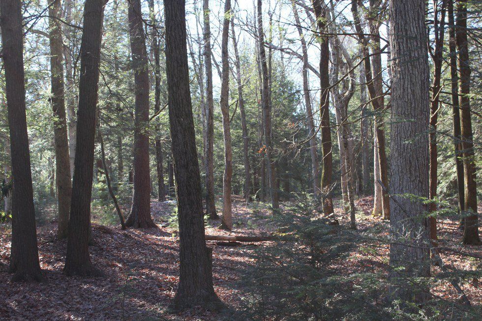 To The Men Who Made Me A Man