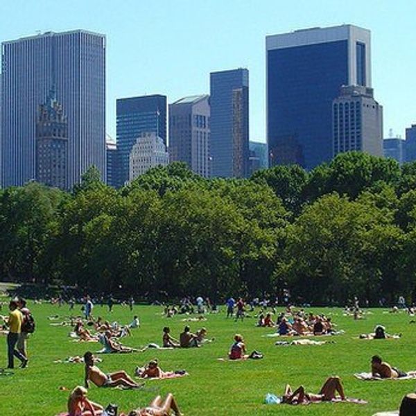 10 Things To Do In New York This Summer
