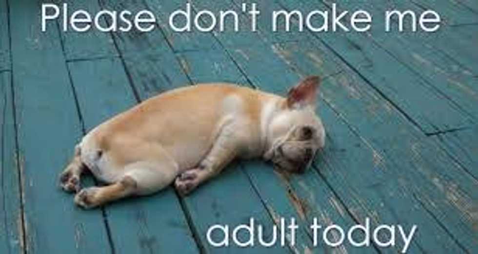 5 Thing That Make 'Adulting' Worth It