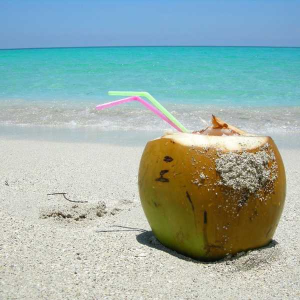 The 10 Flavors Of Summer