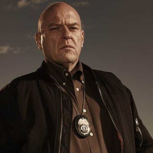Are Cops Terrorists?