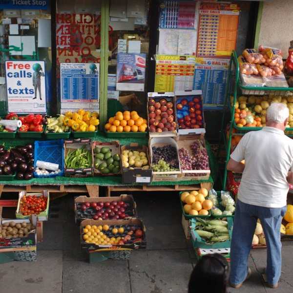 The Debate Behind Genetically Modified Organisms