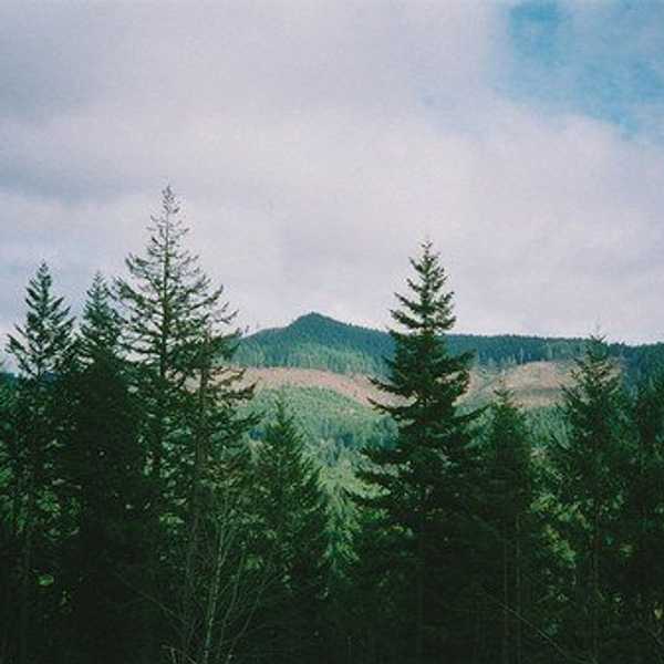 A Collection Of Quotes For The Adventurous Soul