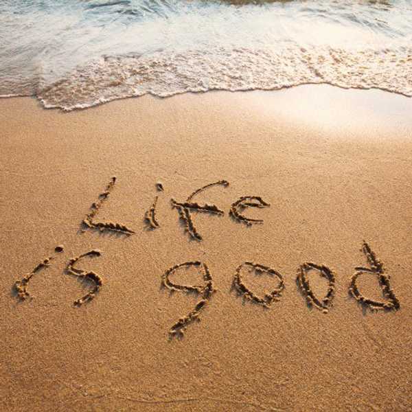 The Pursuit Of Happiness