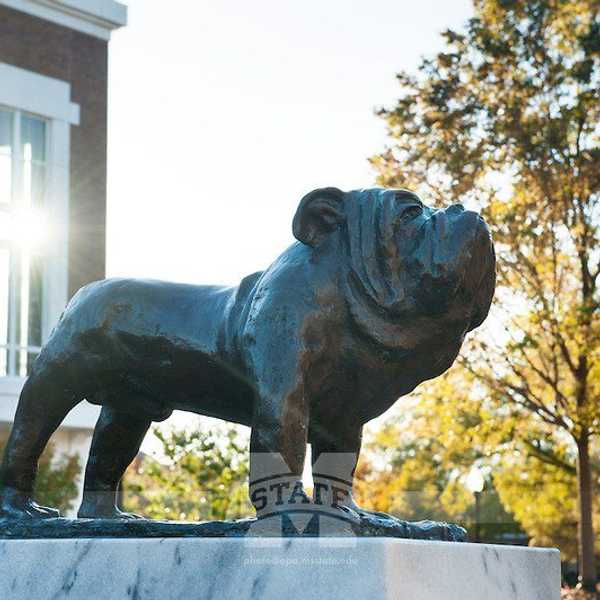 A Letter To The Incoming Freshman