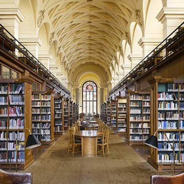 What FOMO Feels Like When You Have Major Life Decisions