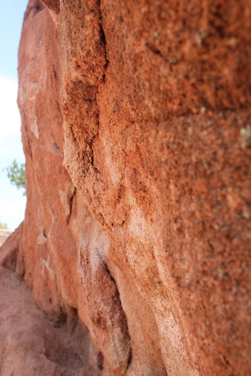 10 Reasons Why Nature Is Perfect