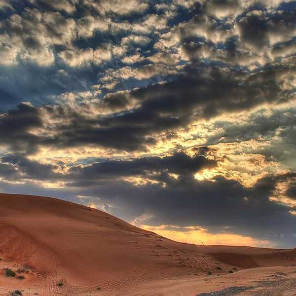 A Wilderness Experience