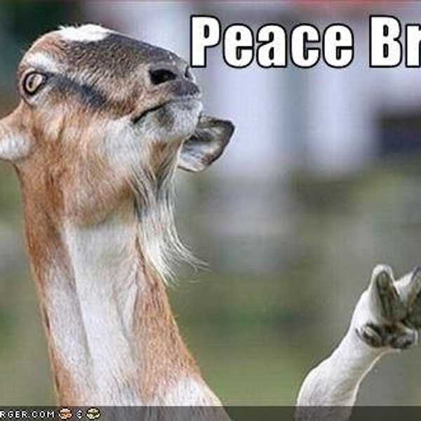 World Peace: Attainable By Not Giving A S**t