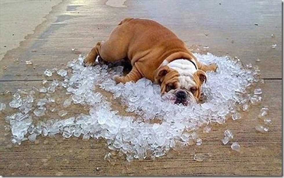 I've Got Five Problems And Summer Is All Of Them